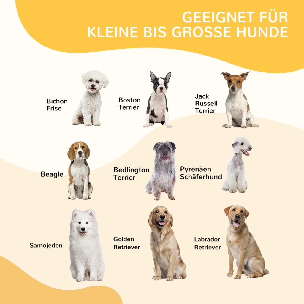 Recinto per Cani con 8 Pannelli e Porta ¨C zephmum ¨C Grigio 100cm