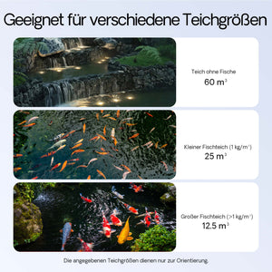 Set per laghetti fino a 60000l Filtro Chiarificatore UVC 36W Pompa 80W Tubo 25m