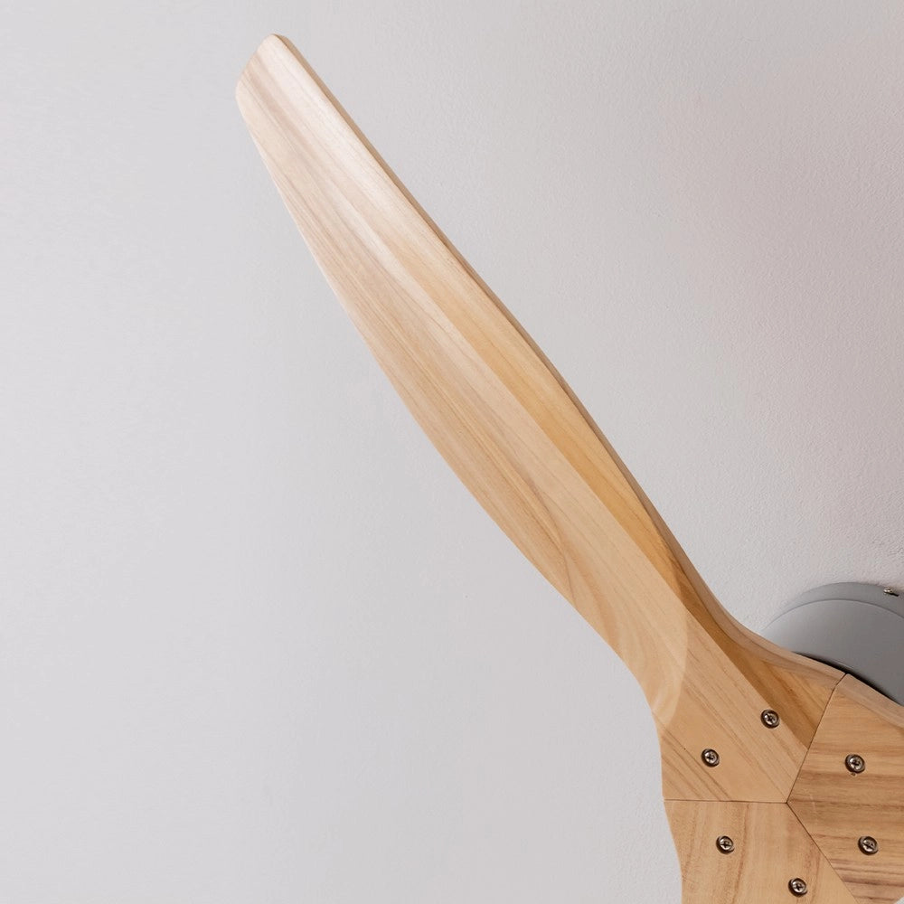 CECOTEC A01_EU01_122168 - EnergySilence Aero 5400 Classic Iron&LightWood