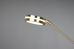 Piantana da Interno a LED SMD in Metallo Ottone Opaco