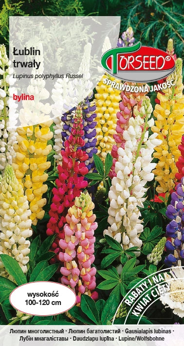Lupino perenne - Lupinus polyph. Miscela Russell 2g