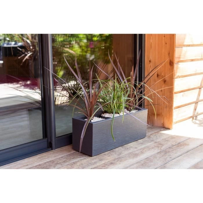 Box Finestra Graphit fino a 25L