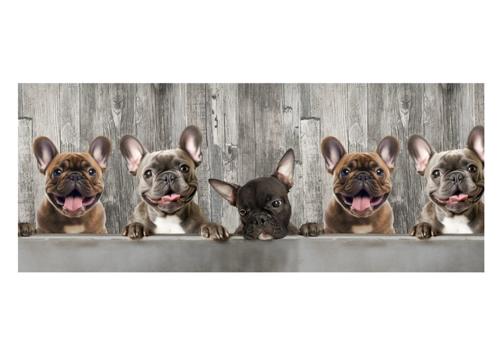 Tappeto Passatoia Cucina Antiscivolo Con Stampa Digitale Dis. Bulldog 497 - 50x280 - Bulldog