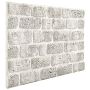 Pannelli da parete 10 pcs Grigio Chiaro 100 x 50 cm Schiuma EPS