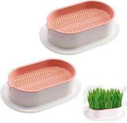 Bowl Germinazione Erba per Gatti - Set di 2 Tavoli per la Piantagione - Germinazione Senza Terra per Erba per Gatti per Uso in Casa e Ufficio