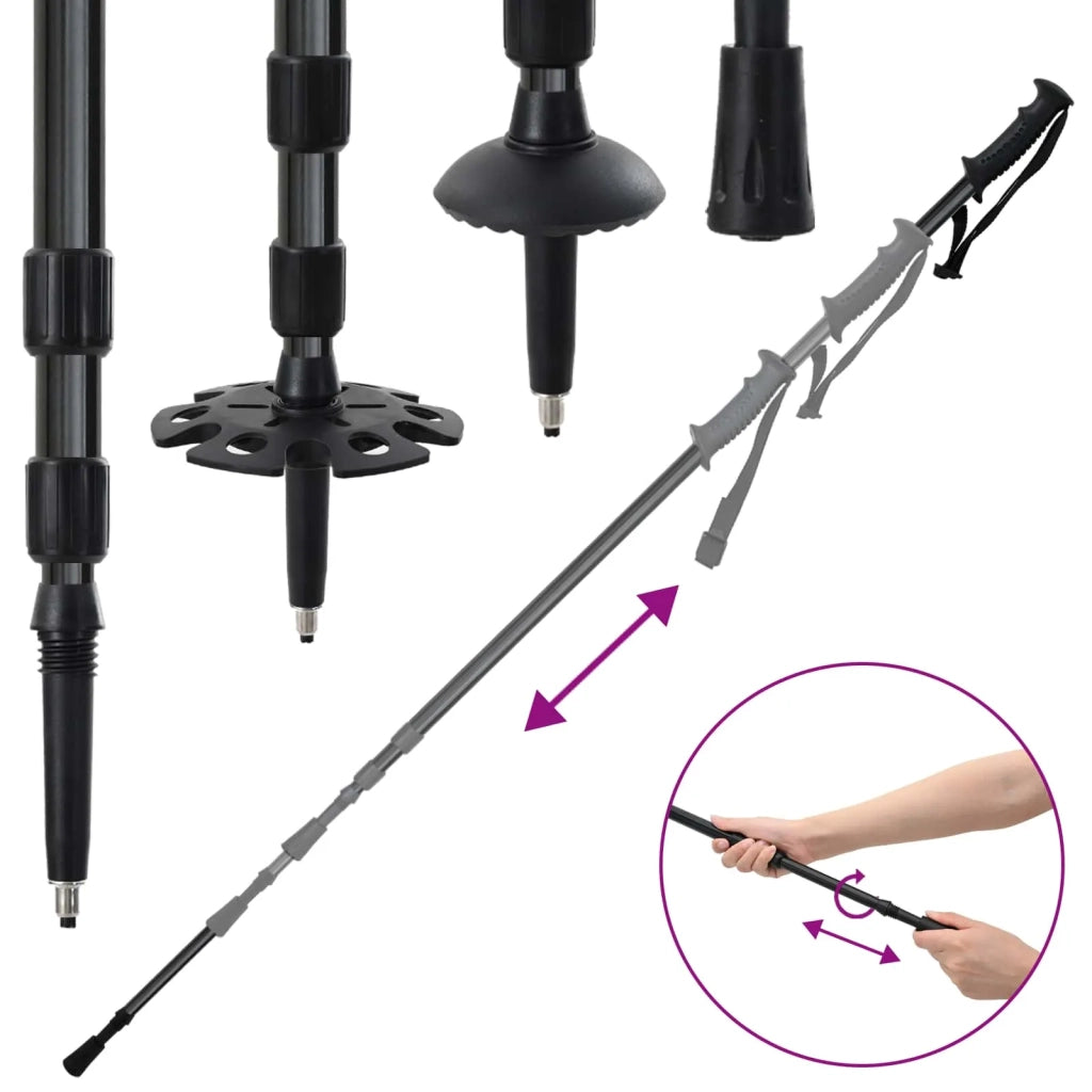 Racchette da neve 3 in 1 con bastoni da trekking Blu e Nero CFW7057388