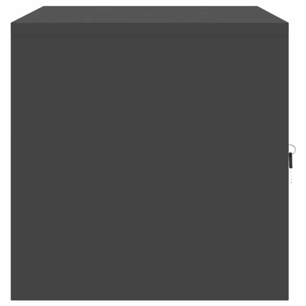 Armadio Nero 80 x 40 x 40 cm Acciaio 891670