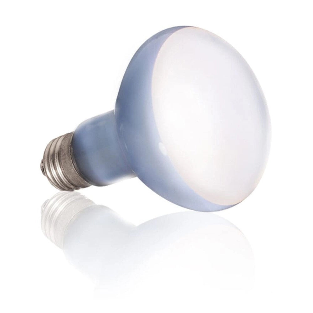 ExoTerra Daylight Basking Spot - lampada al Neodymium ad ampio spettro Wattaggio Riscaldatori e lampade terrario: 75W