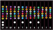 Etichette per Fretboard Chitarra - Set di Etichette per Note Chitarra - Adatto per Chitarre a 6 corde - Set da 2 - Chitarre Acustiche e Elettriche - Nero - Accessori Musicali - Facili da applicare.