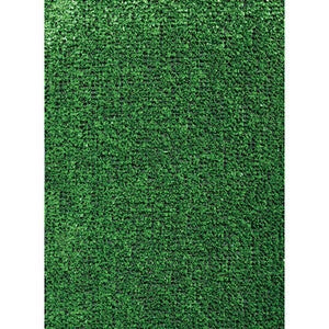 C TAPPETO ERBOSO SINTETICO SP 10MM H1X25M MOQUETTE- C LINE OUTDOOR- 25,0 mq