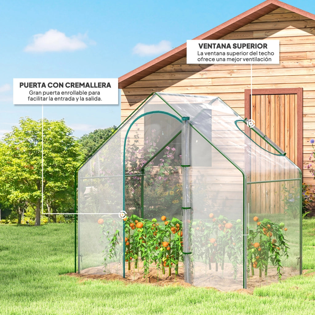 Serra da Giardino con Finestra e Porta ¨C Zephmum ¨C 180x100x168 cm Trasparente