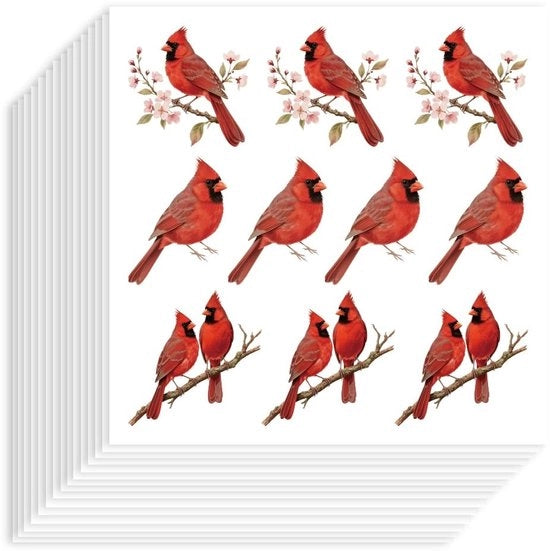 Sticker di uccelli cardinale 200 pezzi - Sticker autoadesivi - Sticker acqua-resistente - Sticker decorativi per calendari e album di appunti