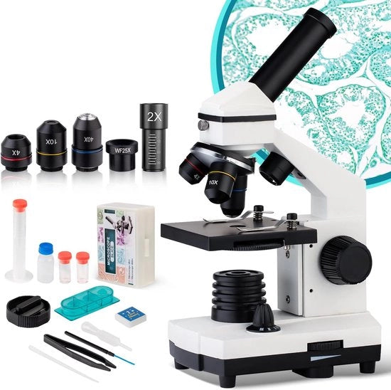 Microscopio per Bambini - Microscopio Portatile - Microscopio per la Scuola - Educativo Giocattolo - Giocattolo Montessori - Flessibilità Motoria 

Modello: 
Specifica: 30x, 40x, 60x, 100x magnificazione