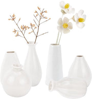 Set di 6 mini vasi in ceramica per fiori, 6 stili decorativi rustici, moderna decorazione per la campagna, vasi bianchi semplici e piccoli per fiori e piante, dimensioni 43~65x70~100 mm.
