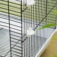 Gabbia per Uccelli in Metallo con Maniglia, Vassoio Estraibile, Pioli e Altalena, 39x33x47cm, Bianco