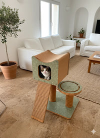 Struttura di arrampicata in sughero Faro