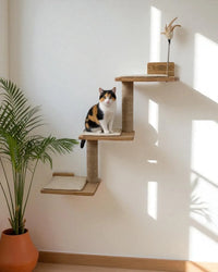 Albero per gatti Duna