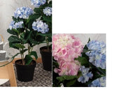 Vaso con Pianta Artificiale Ortensie 71 cm 2 Colori