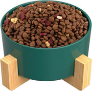 Tazza ceramica con piedistallo in bambù elevato per cani e gatti, utilizzabile come ciotola per cibo o per acqua, ciotola per gatti, antiscivolo, lavabile in lavastoviglie (1 x - 400 ml, verde)