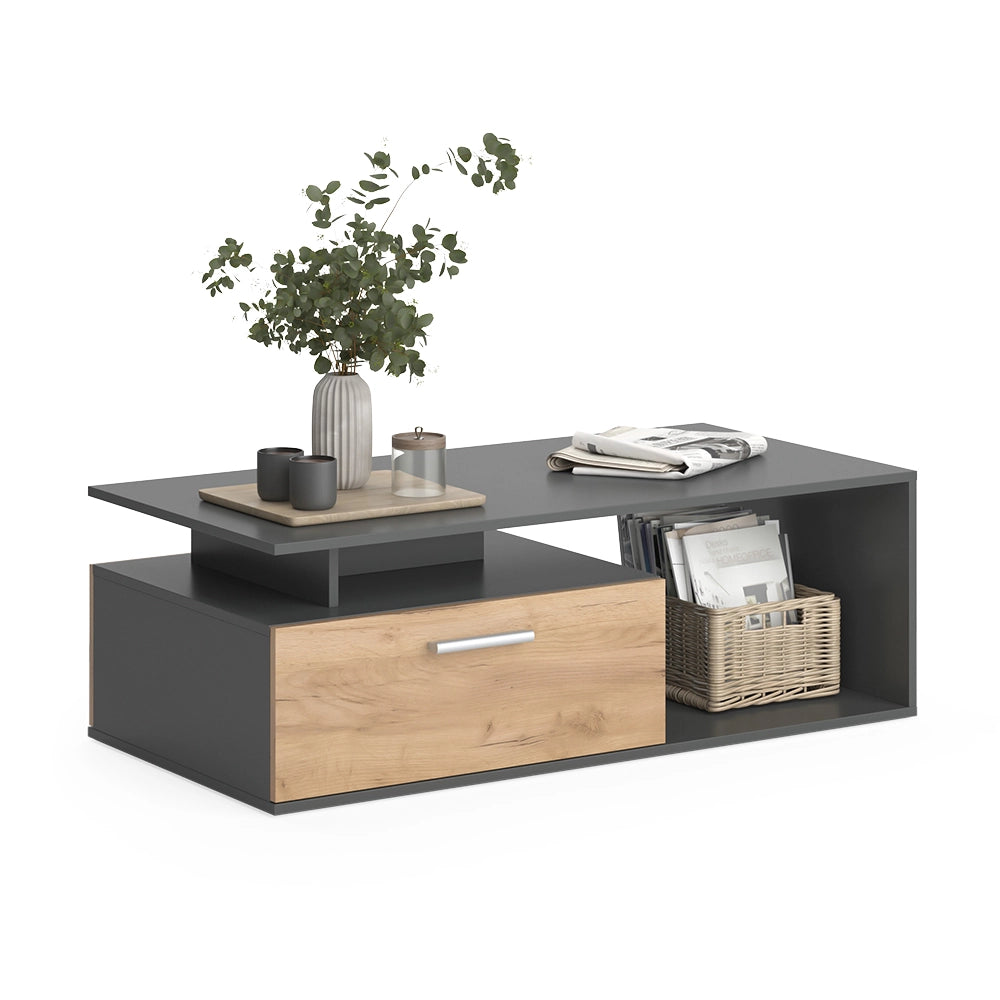 Vicco Tavolino da salotto Antracite/quercia dorata 118 x 59 cm