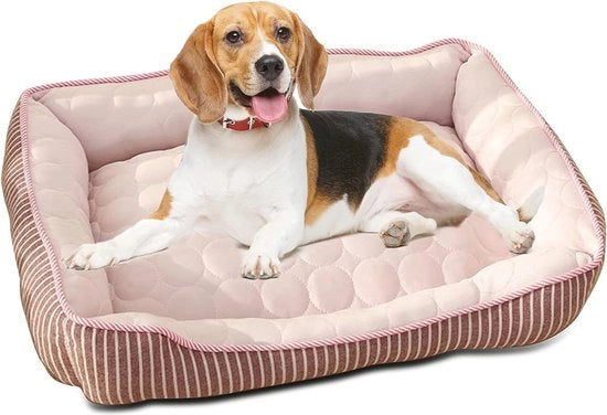 Letto per cani ortopedico per piccoli e medi cani - Raffreddante, Adatto per l'estate, Resistenti al lavaggio in lavatrice