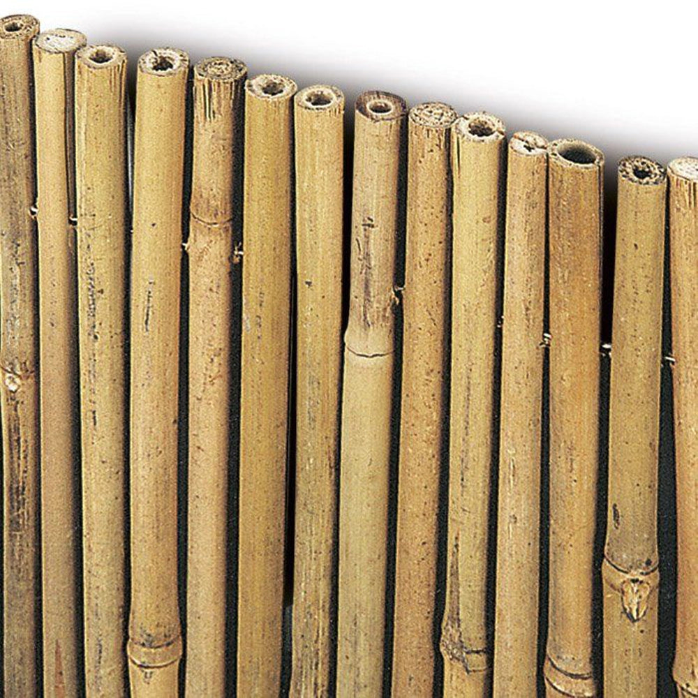 ARELLA CANNICCIO BAMBOO STUOIA CANNETTE RILEGATE Ø8-10mm CANNA PULITA 3x2m STARS
