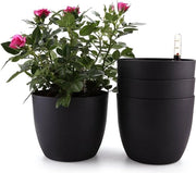 Piantina con serbatoio d'acqua - Autoirrigazione - Set da 4 - Nero - 15 cm
