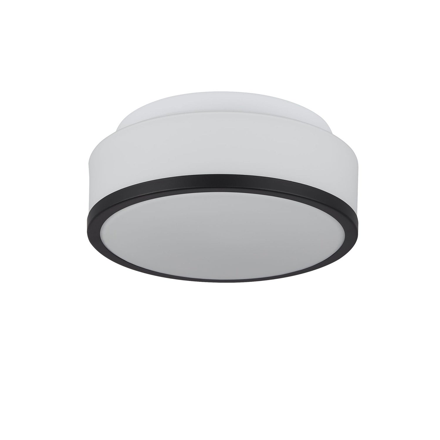 Plafoniera Contemporanea Formaggio Acciaio Nero Vetro 2 Luci E27