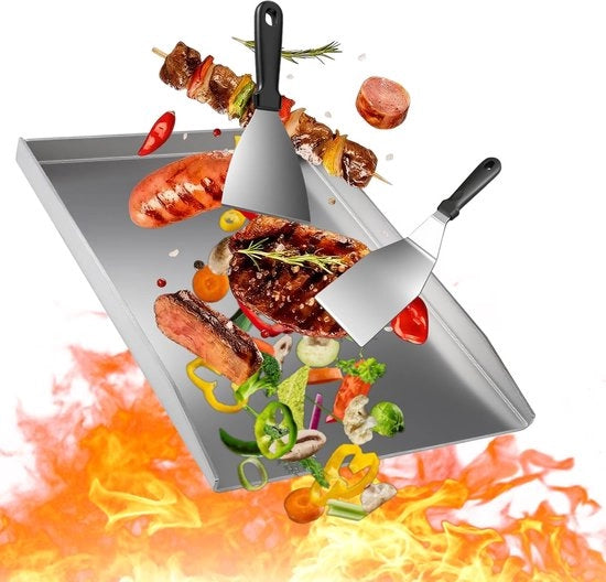Piatto Grill in Acciaio Inossidabile 40 x 30 cm - Piatto Grill per Gas/Carbone - Inclusi 2 Spiedi Grill - Impermeabile - Facile da Pulire - Sicuro per l'Alimentazione - Piatto Barbecue