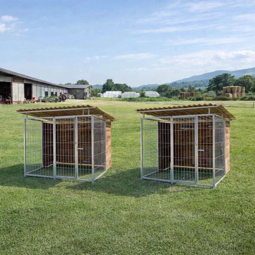 2 box per cani con copertura e retro in legno zincatura a caldo ciascuno da 200x300xh180 cm