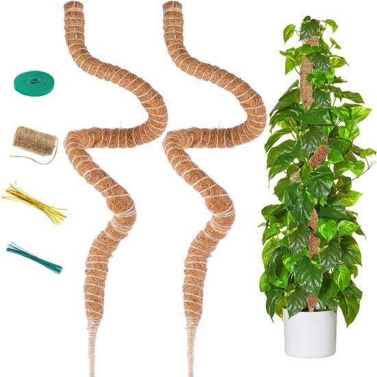 Sostegno per piante a forma semicircolare in cocco fibre 120 cm per Monstera e piante a forma di formaggio - Stelo flessibile di cocco per piante da appartamento con nodi di torsione e nastro per piante sostegno per piante a forma semicircolare