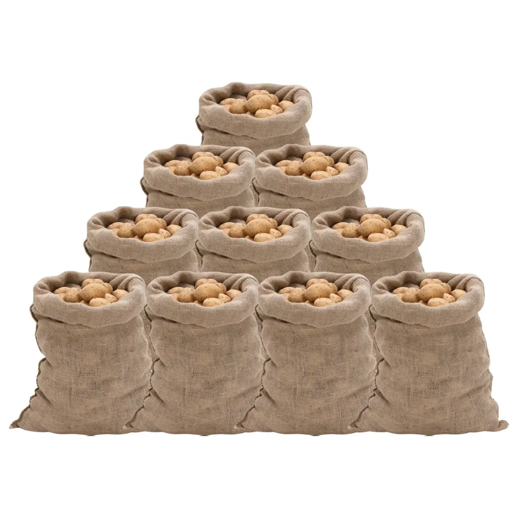 Sacchi di Iuta 10pz 60x105 cm 100% Iuta 220 gsmcod mxl 134370