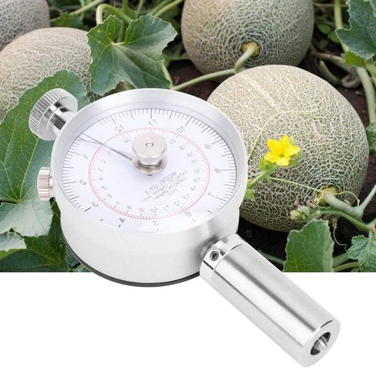 Penetrometro per Frutta con 2 Probi di Misura GY-03