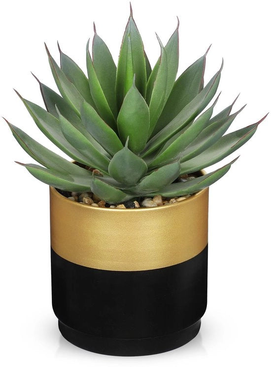 Pianta di Aloë Vera Succulenta in Vaso di Cotto Nero Giallo, 20cm