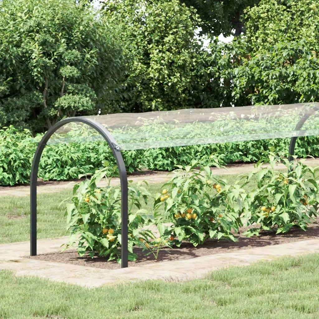Copertura per Piante Trasparente 20 x 1,5 m PVC