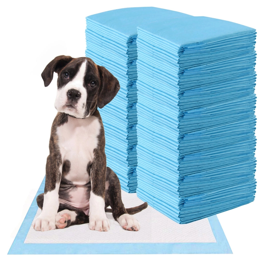Traverse usa e getta con controllo odore, Traverse con asciugatura rapida per cani gatti conigli, 60 x 90 cm-Giochi e accessori per cani