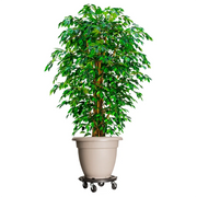 Carrelli per Piante con Ruote 5 pz Diametro 40 cm Neri 275 kg 3143920