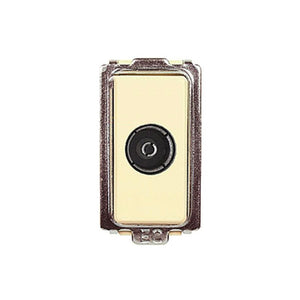 PRESA COASSIALE TV DIRETTA