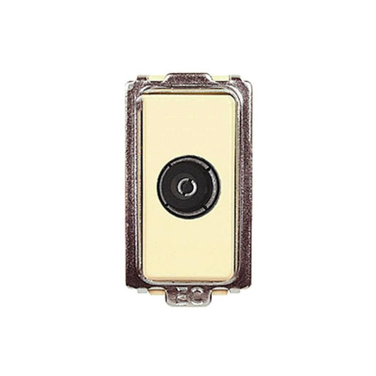 PRESA COASSIALE TV DIRETTA