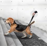 Aiuto per cani con problemi di deambulazione - Nero - Supporto per cani disabili, feriti o anziani