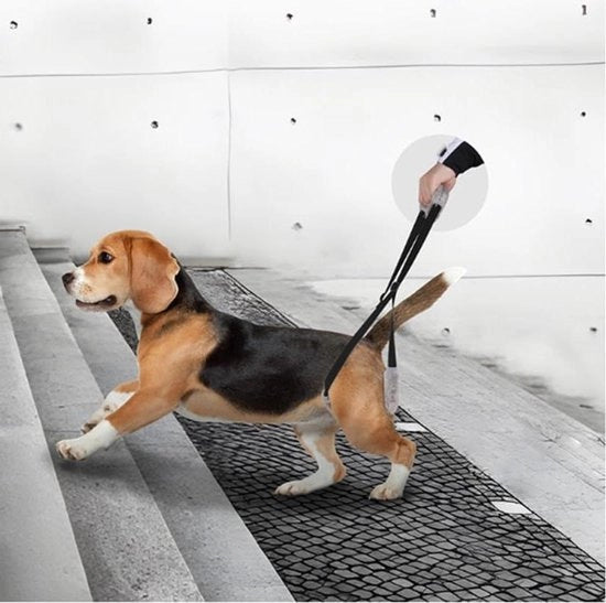 Aiuto per cani con problemi di deambulazione - Nero - Supporto per cani disabili, feriti o anziani