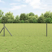 Recinzione Euro Grigio 0,6 x 50 m Ferro rivestito in PVC 42004579