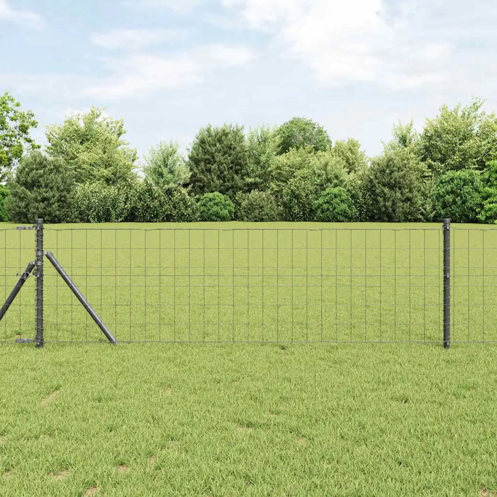Recinzione Euro Grigio 0,6 x 50 m Ferro rivestito in PVC 42004579