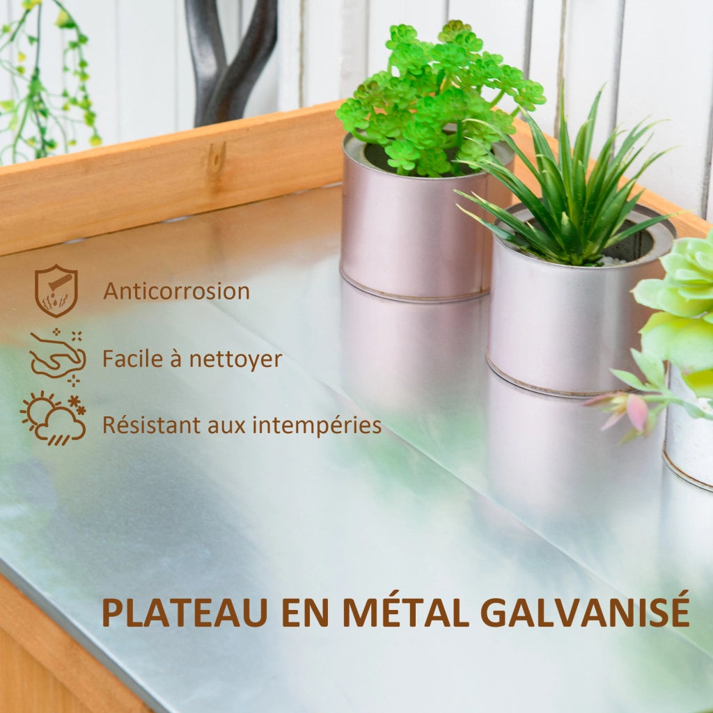 Tavolo da giardinaggio con ripiano e armadio ¨C zephmum ¨C legno di cedro, grigio, 120x60x80