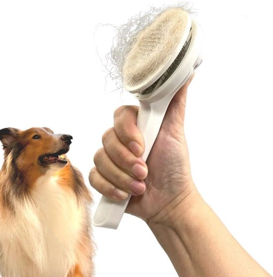Spazzola per gatto e cane con setole corte, medie e lunghe per massaggi e pulizia