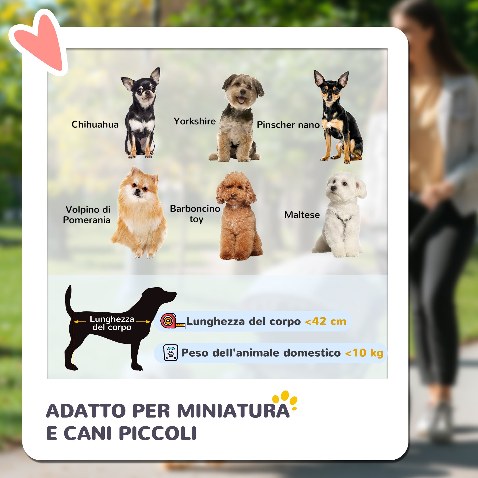 Passeggino per Cani Taglia XS e S 81x48x99 cm con Cesto Cuscino e 2 Guinzagli Nero e Blu Scuro