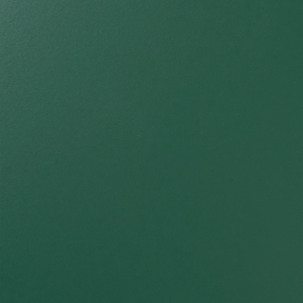 Credenza a 2 ante in acciaio verde mensole per mobili per ufficio a casa Tappi per gambe Design industriale