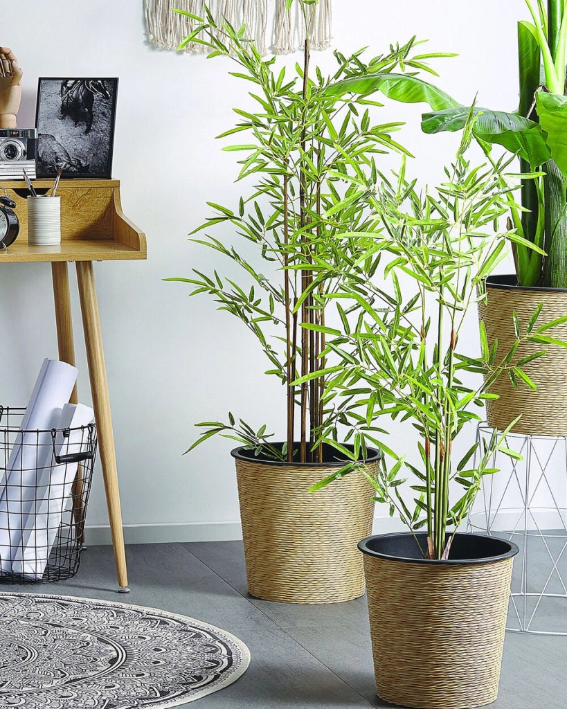 Pianta di bambù artificiale in vaso Materiale sintetico verde e Nero 160 cm Accessorio decorativo per interni