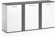 Credenza Novelli, Antracite, 40 x 80 cm con ante, adatto per riporre abiti e oggetti per la casa
