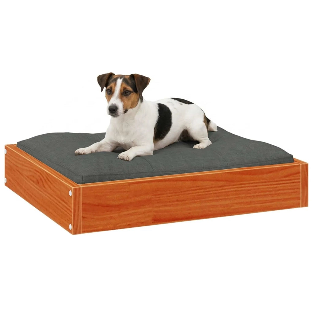 Letto per Cani Marrone cerato 51,5 x 44 x 9 cm CFW9584604